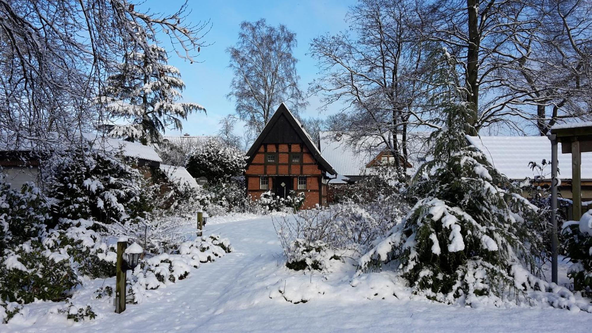 Vila Backspieker Back Sögel Exteriér fotografie